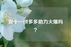 双十一拼多多助力火爆吗？  拼多多助力 拼多多推金币 拼多多推金币助力 拼多多助力平台 拼多多助力项目 拼多多助力网站 赚钱项目 暑假赚钱项目 拼多多赚钱 第1张