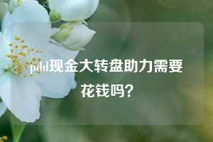 pdd现金大转盘助力需要花钱吗？  第1张