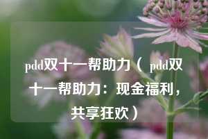 pdd双十一帮助力（ pdd双十一帮助力：现金福利，共享狂欢）  第1张