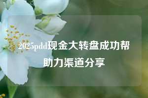 2025pdd现金大转盘成功帮助力渠道分享  pdd帮助力 pdd推金币 pdd推金币帮助力 pdd帮助力平台 pdd帮助力项目 赚钱项目 暑假赚钱项目 pdd赚钱 第1张